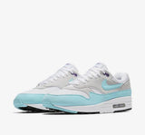 Nike Air Max 1 Anniversary "OG" Shoes