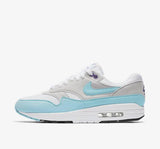 Nike Air Max 1 Anniversary "OG" Shoes