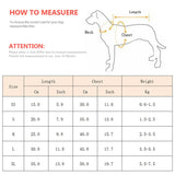 Cartoon Animal Dog Cat Costume for Small Dogs Cats