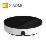 Induction cooker Youth Edition Smart electric oven